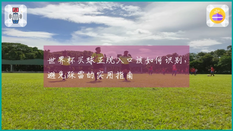 世界杯买球正规入口该如何识别，避免踩雷的实用指南