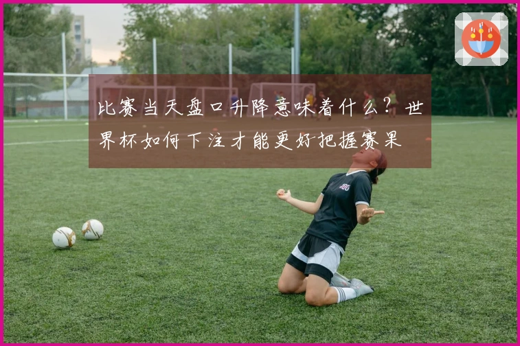 比赛当天盘口升降意味着什么？世界杯如何下注才能更好把握赛果