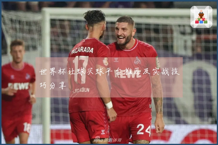 世界杯让球买球平台推荐及实战技巧分享