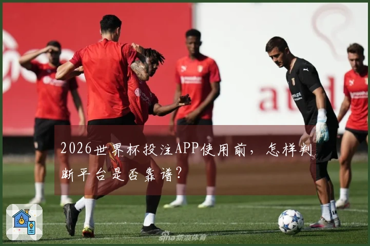2026世界杯投注APP使用前，怎样判断平台是否靠谱？