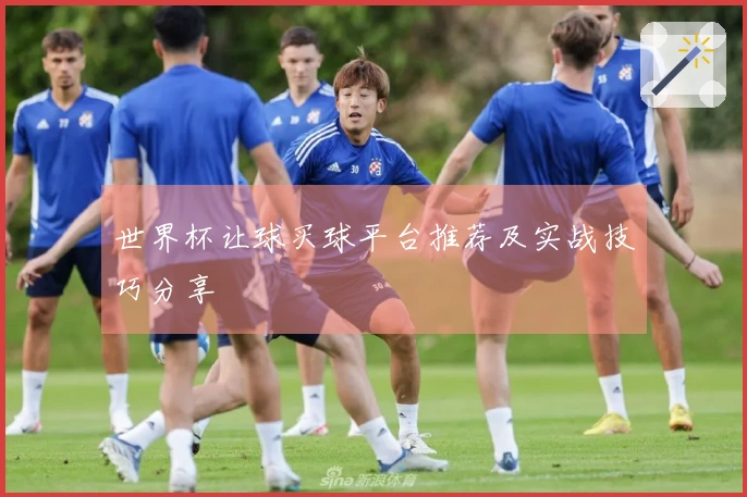 世界杯让球买球平台推荐及实战技巧分享